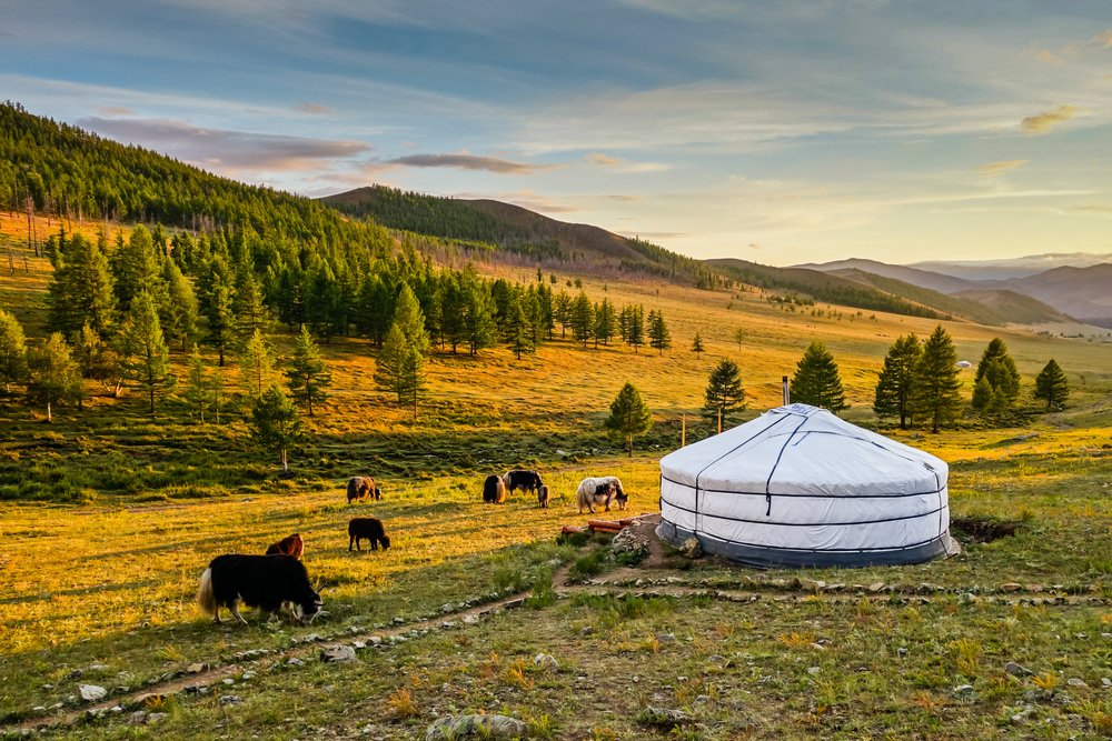 mongolian translation services