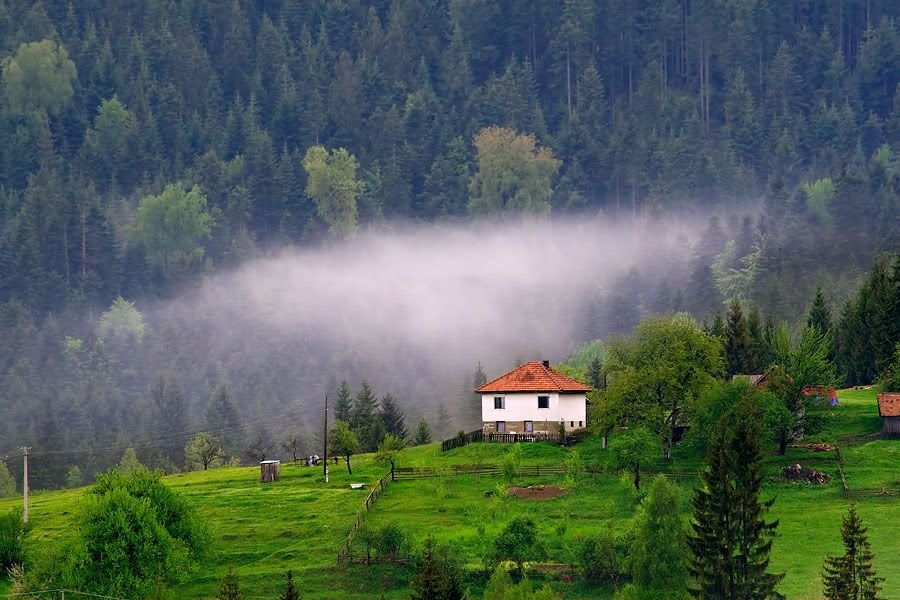 serbian translation services